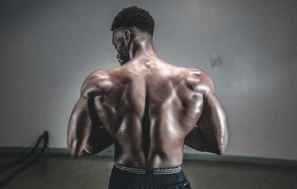 prise de masse musculaire