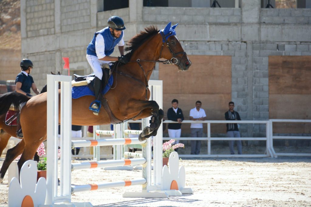 entretien airbag equitation
