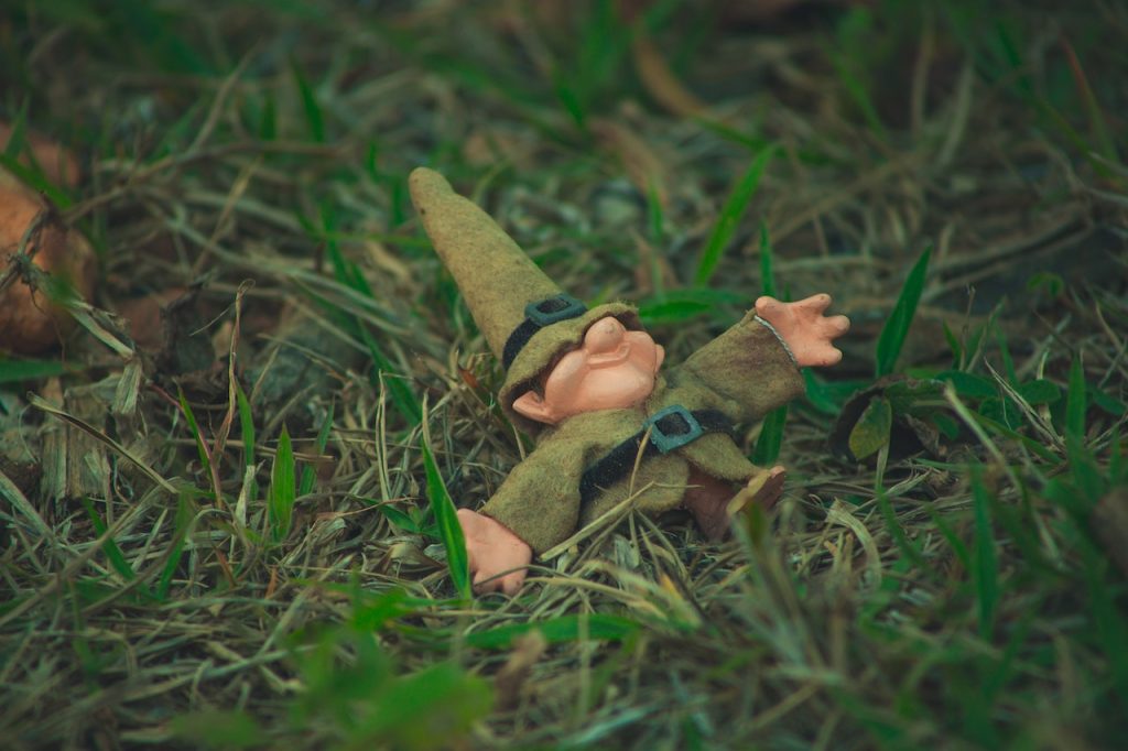 nain de jardin