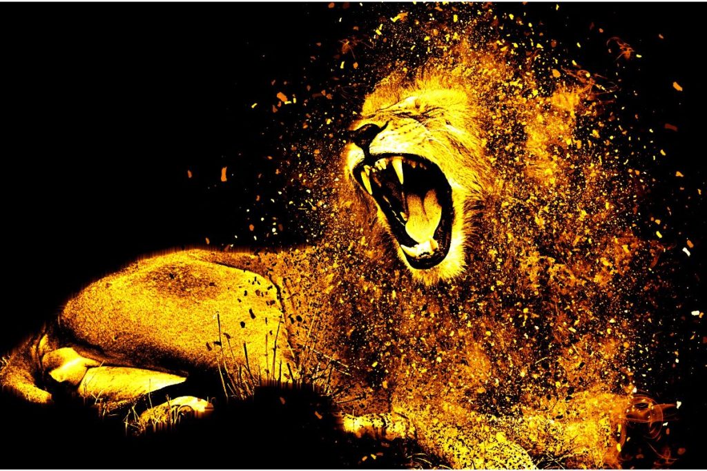 le-lion-en-art-vestimentaire